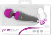 Preview: PalmPower Massager