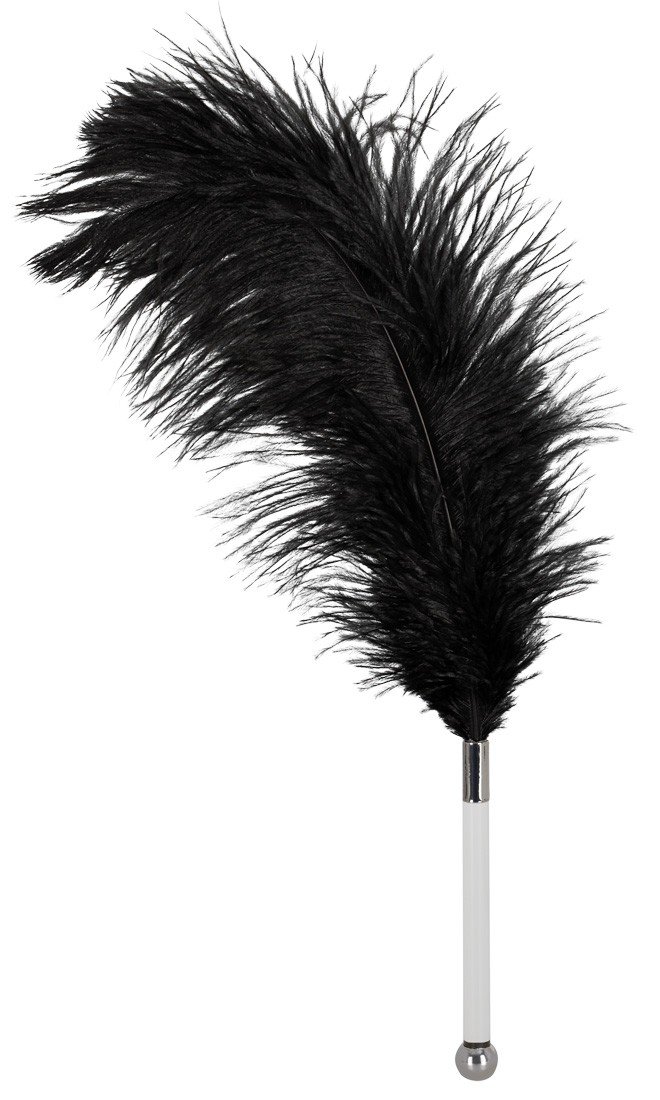 Feather Wand Feather Wand