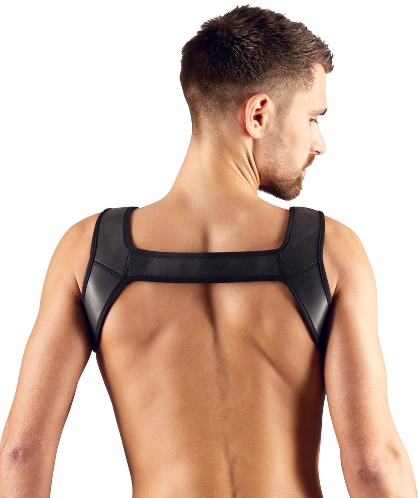 Harness