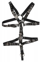 Preview: Harness