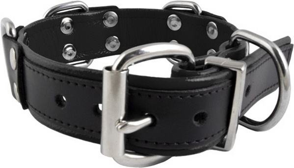 Leder Halsfessel