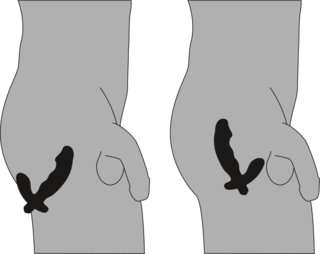 Buy Prostate Vibrator | High Quality Massagers for Men | Steeltoyz Buy Prostate Vibrator | High Quality Massagers for Men | Steeltoyz