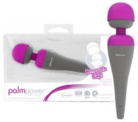 Preview: PalmPower Massager