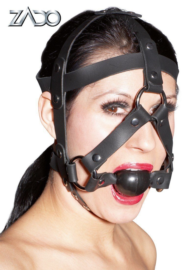 Harness with Gag Ball