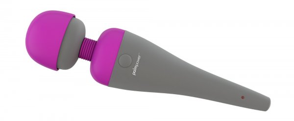 PalmPower Massager