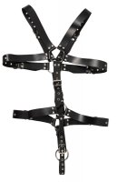Preview: Harness