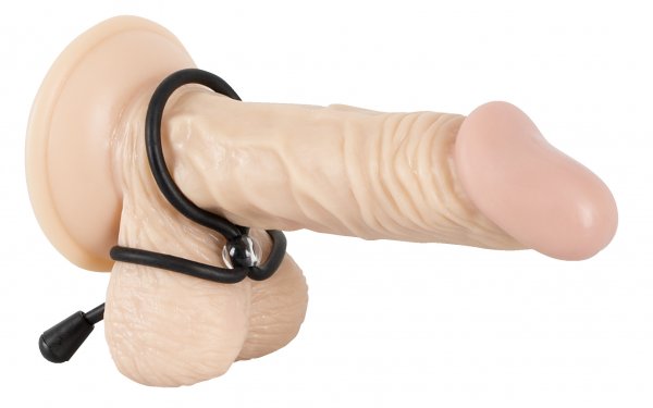 Variable penis and testicle loop