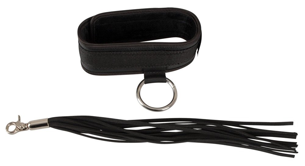 Collar and Flogger