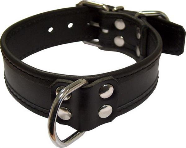 Robust slaves neck chain D Rings Robust slaves neck chain D Rings