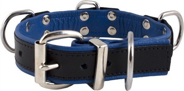 Leder Halsfessel