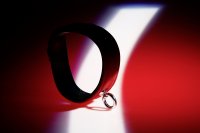Preview: Rote Halsfessel 
