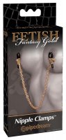 Preview: Nipple Clamps Nippelklemmen mit Kette in Gold