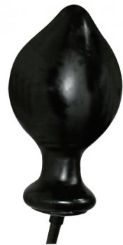 Anal Expert Anal Expert