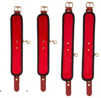 Preview: Bed/Door Restraint Set