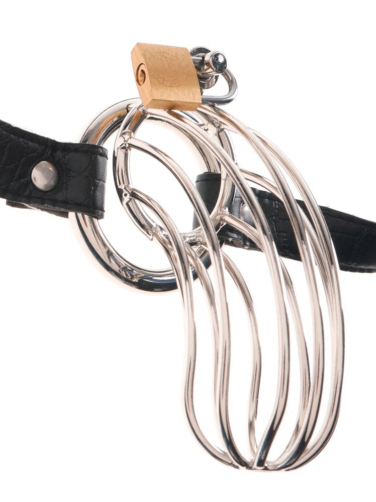 The Prisoner Chastity Belt The Prisoner Chastity Belt