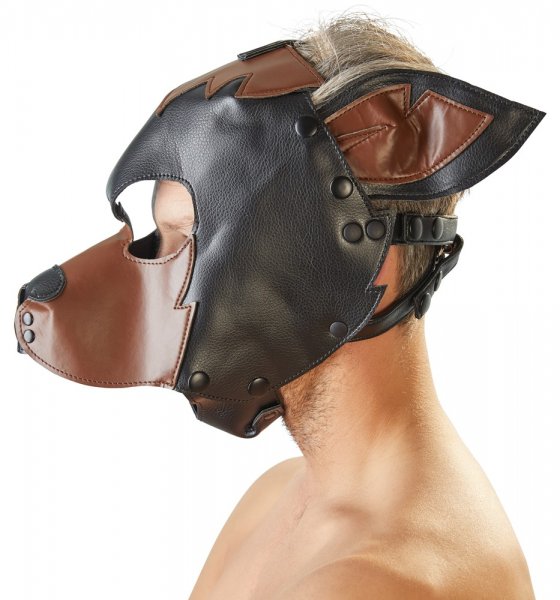 Dog Mask