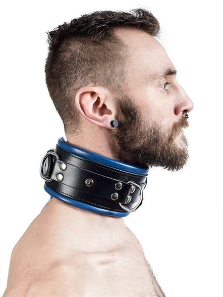 slaves neck chain with blue padding slaves neck chain with blue padding