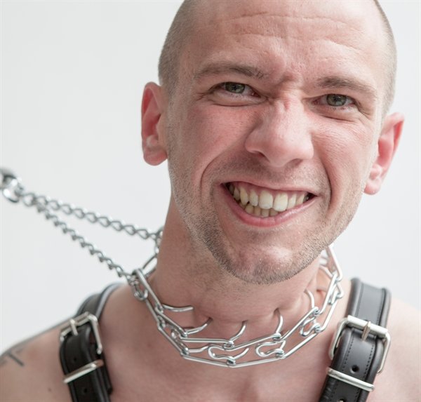 Torquator Chrome: spiked collar in a class of its own Torquator Chrome: spiked collar in a class of its own